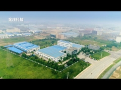 Компания видео